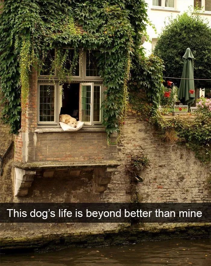..