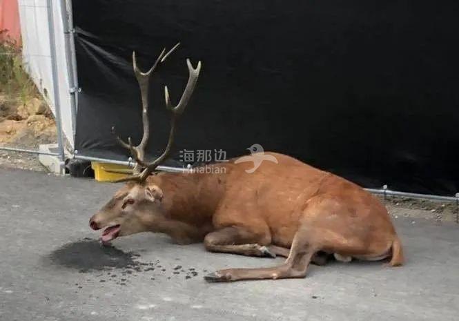 ..