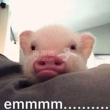 ..