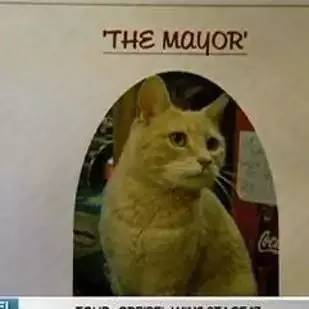 ..