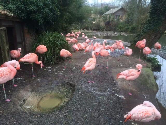 ..