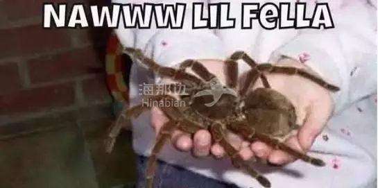 ..