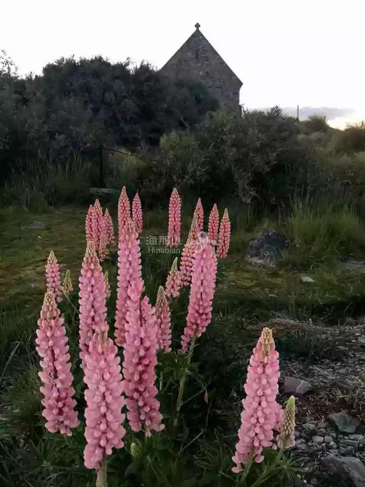 ..