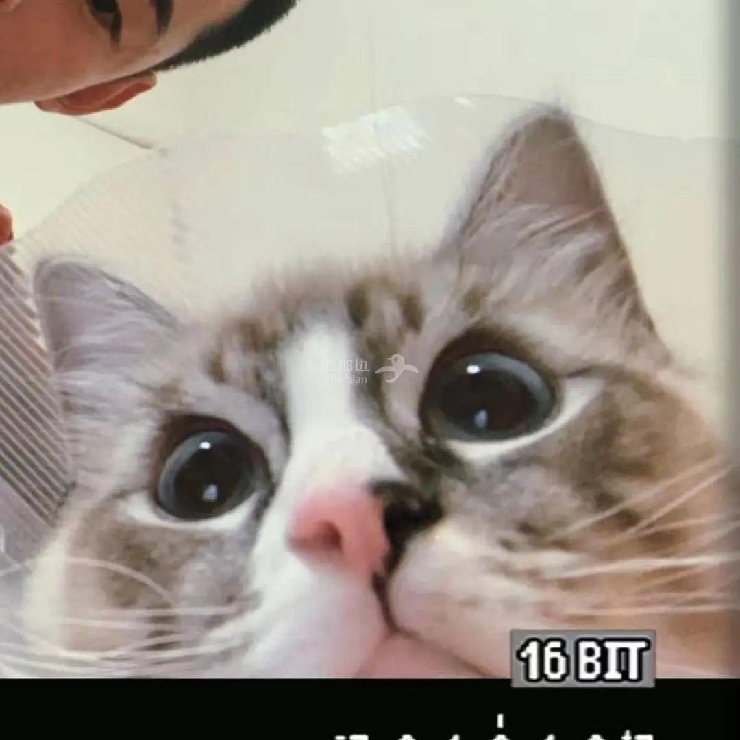 ..