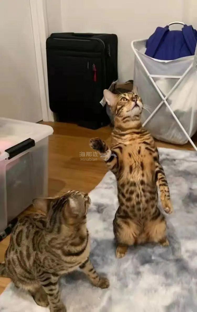 ..