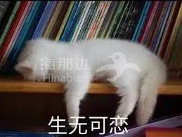 ..