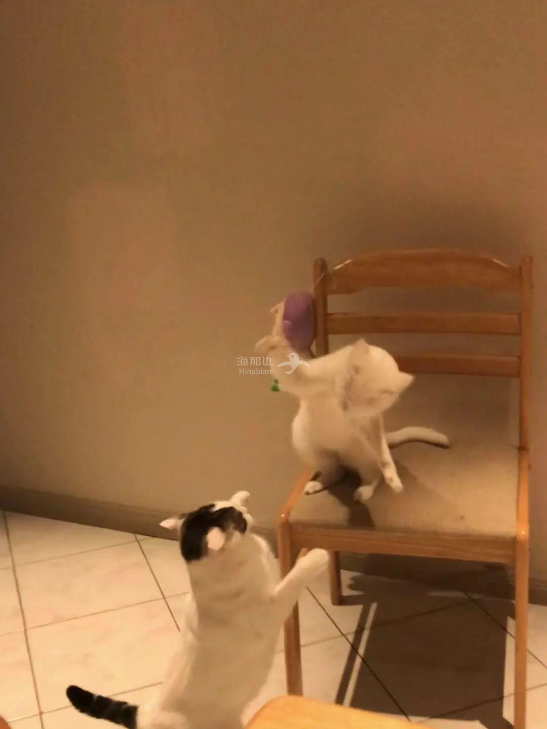 ..