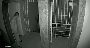 ..