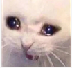 ..