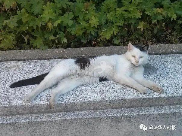 ..