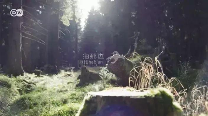 ..