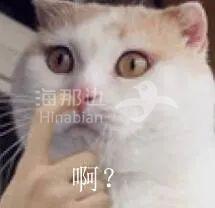 ..