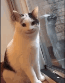 ..