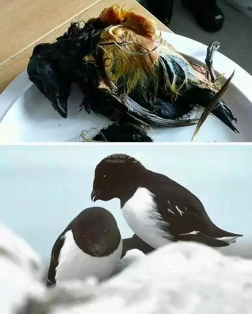 ..