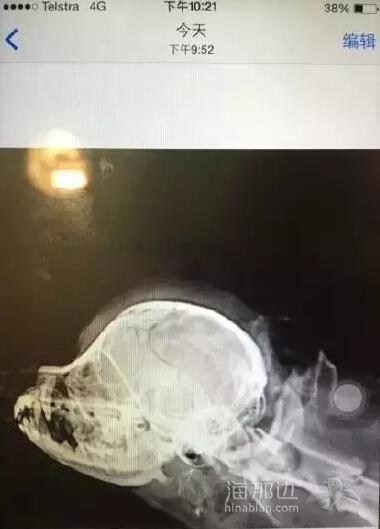 ..