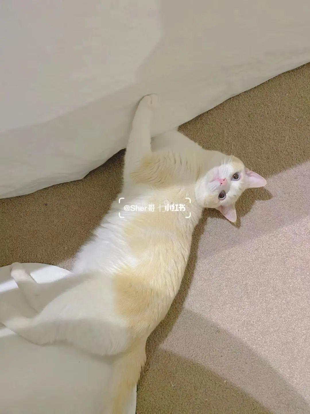 ..