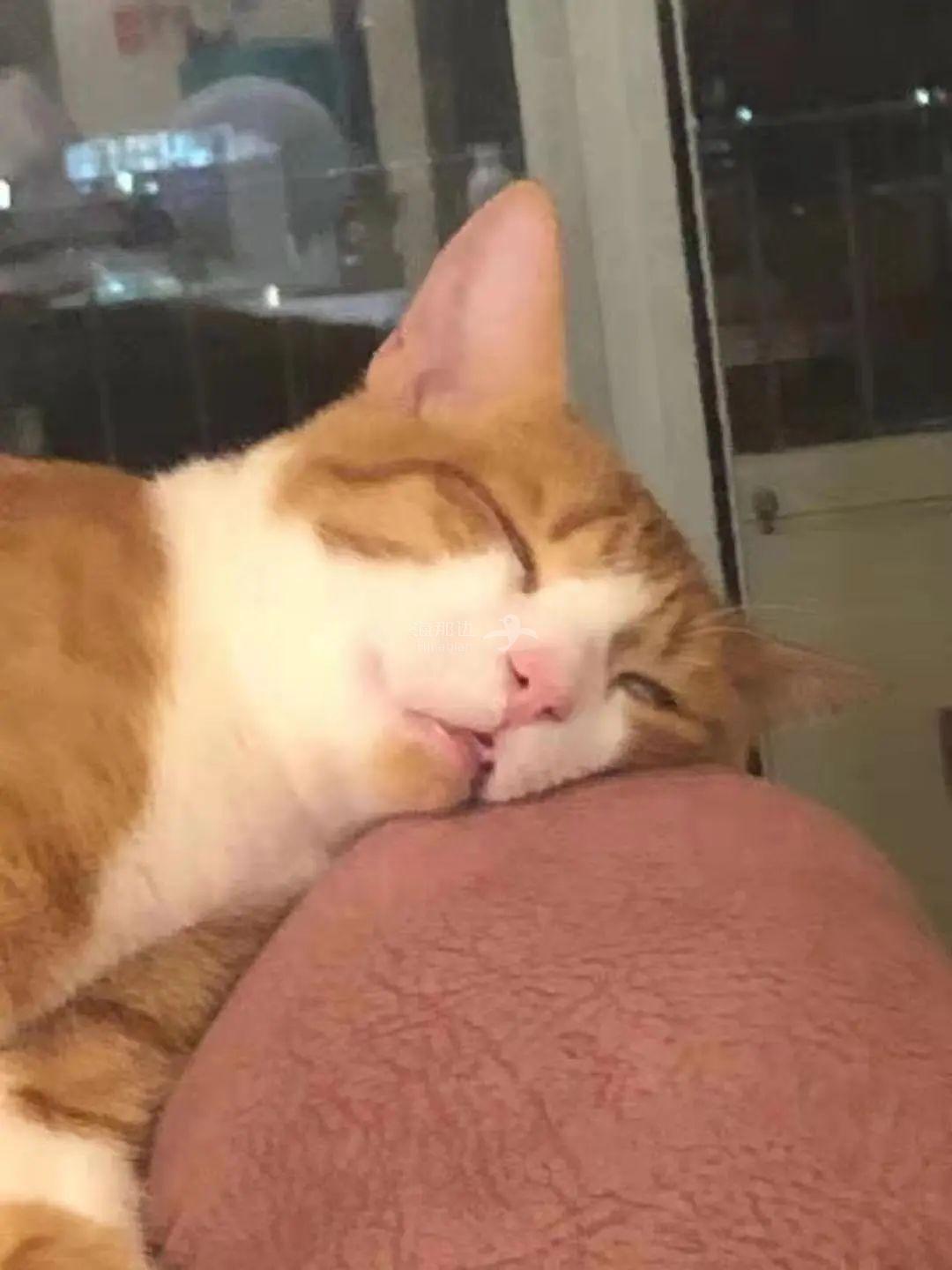 ..