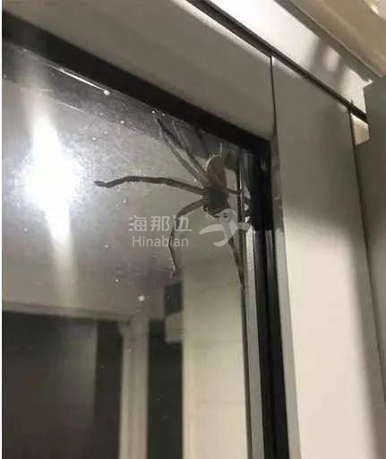 ..