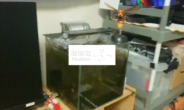 ..
