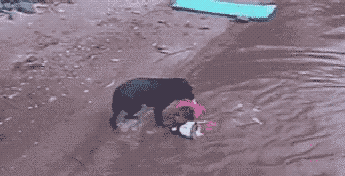..