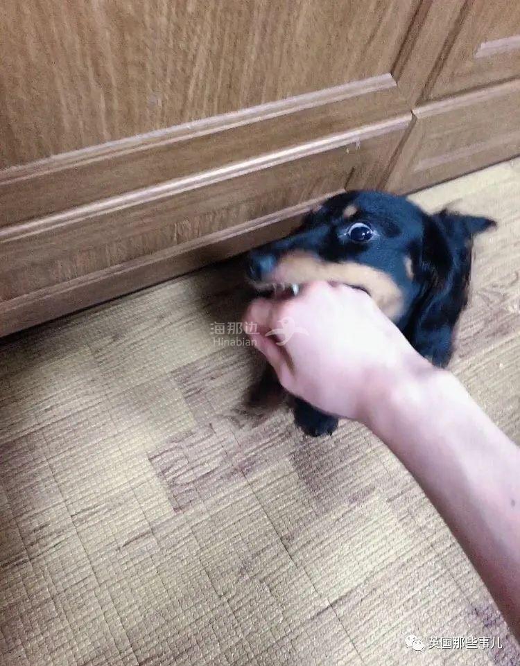 ..