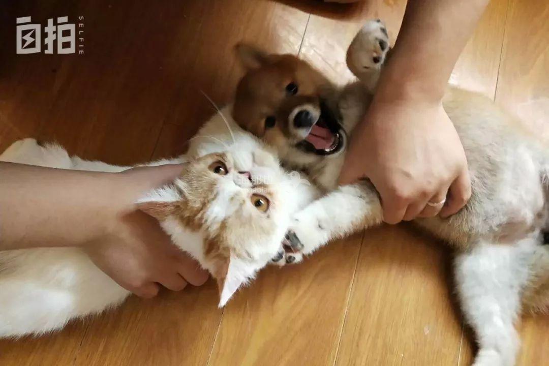 ..