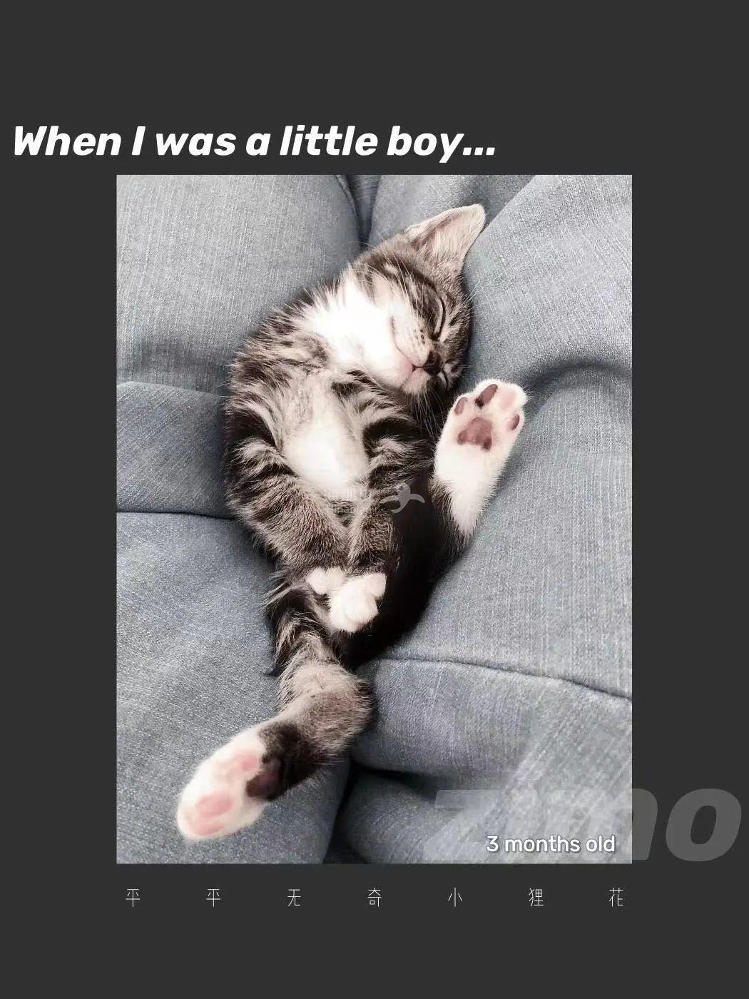 ..