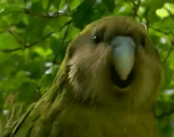 ..