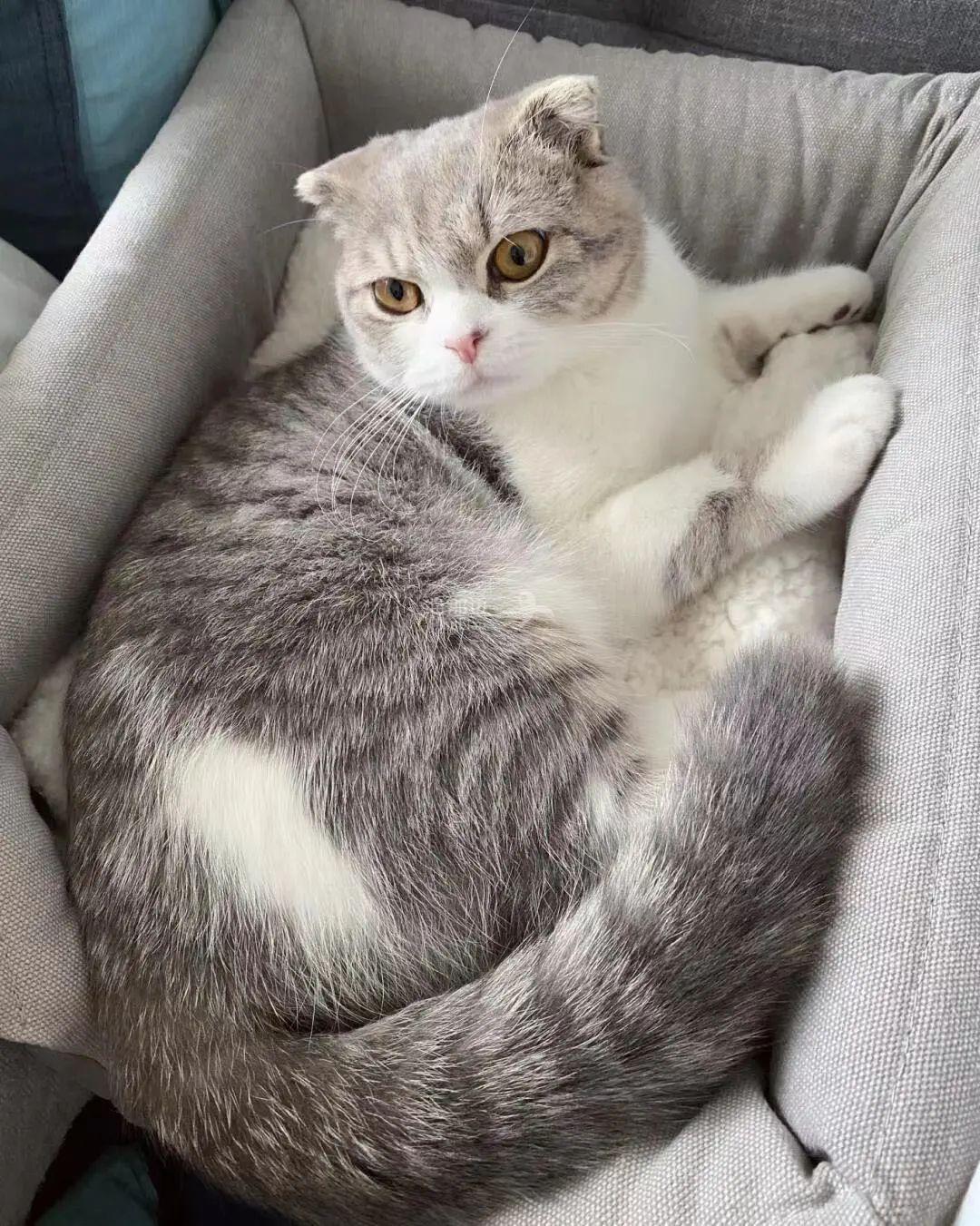 ..