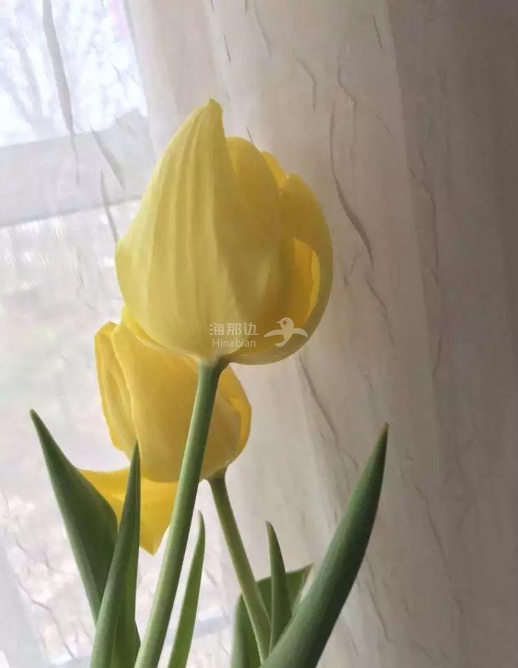..