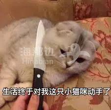 ..
