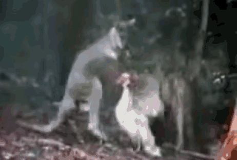 ..