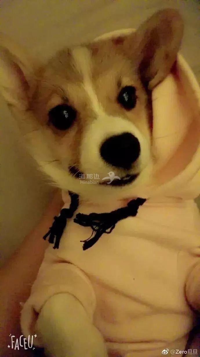 ..