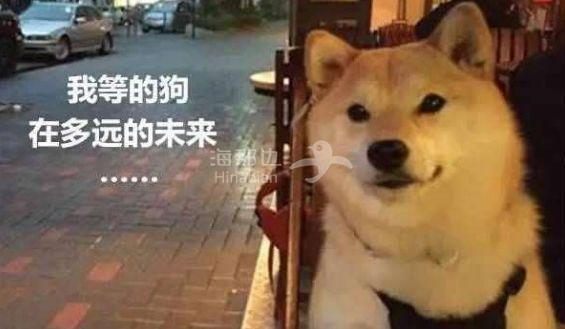 ..