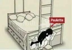..