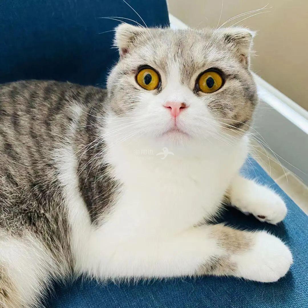 ..