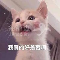 ..