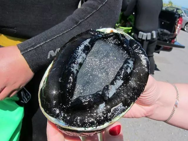 ..