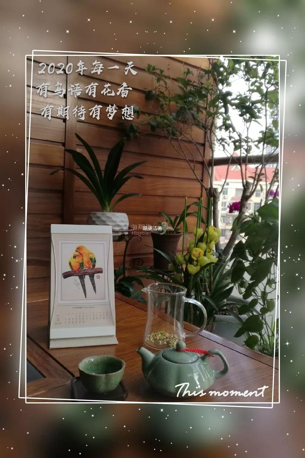 茶2.jpeg ..