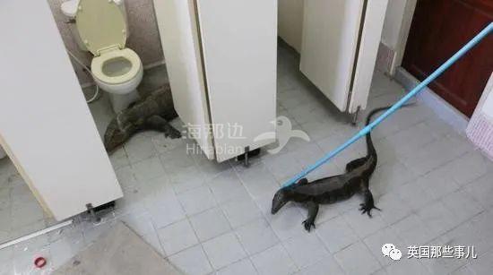 ..