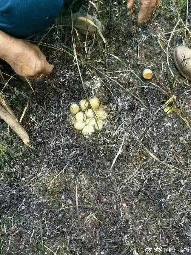 ..