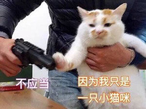 ..
