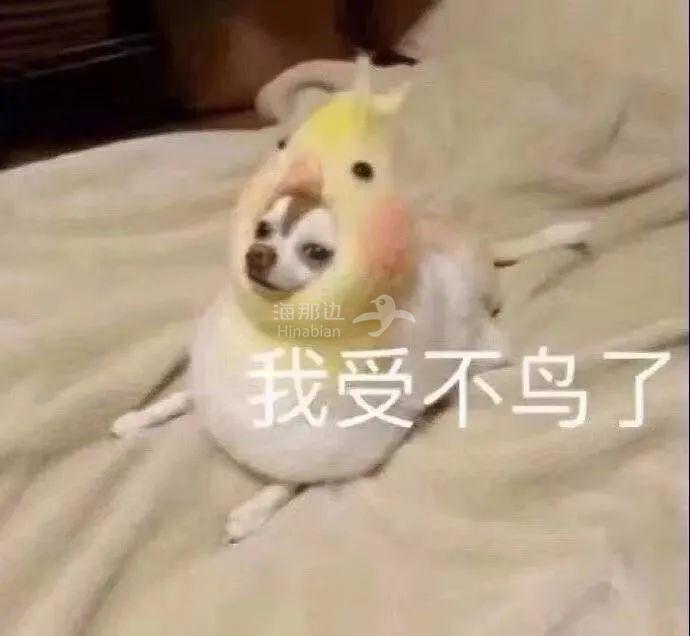 ..