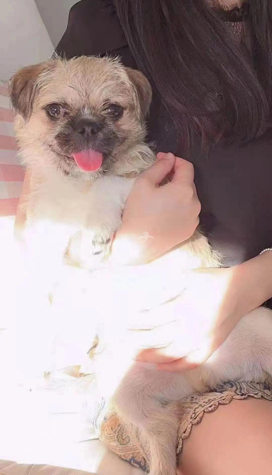 ..