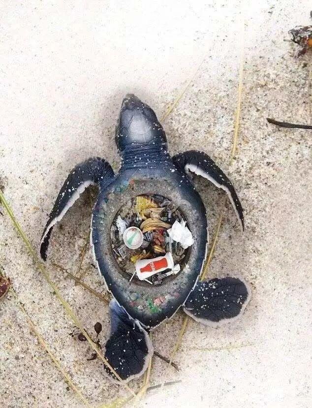 ..