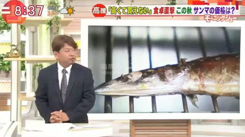 中国人狂抓秋刀鱼《都是周杰伦七里香害的》一句歌词影响力居然这么大? - 图片2 ..