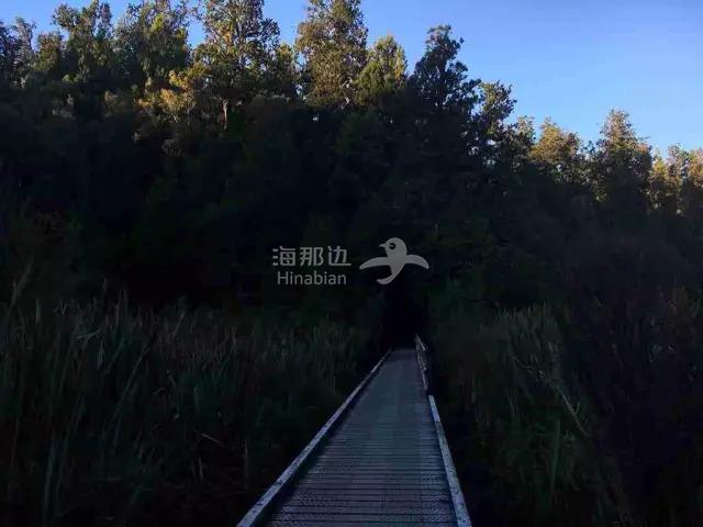 ..
