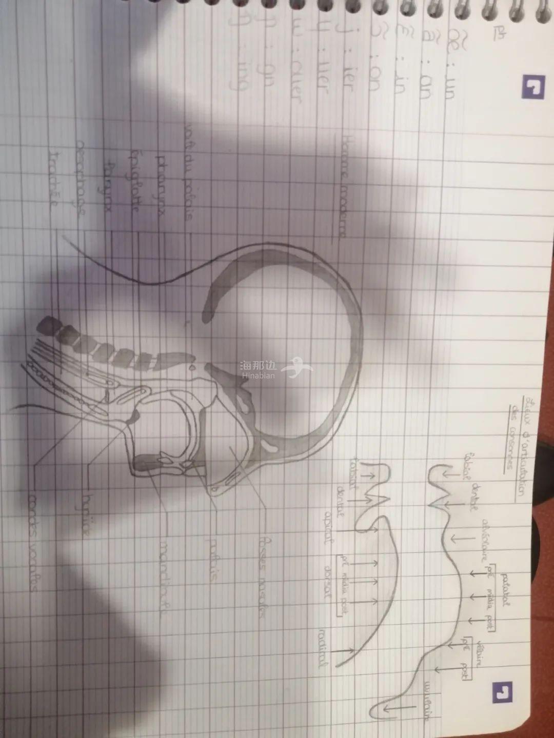 ..