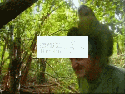 ..