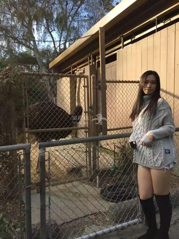 ..